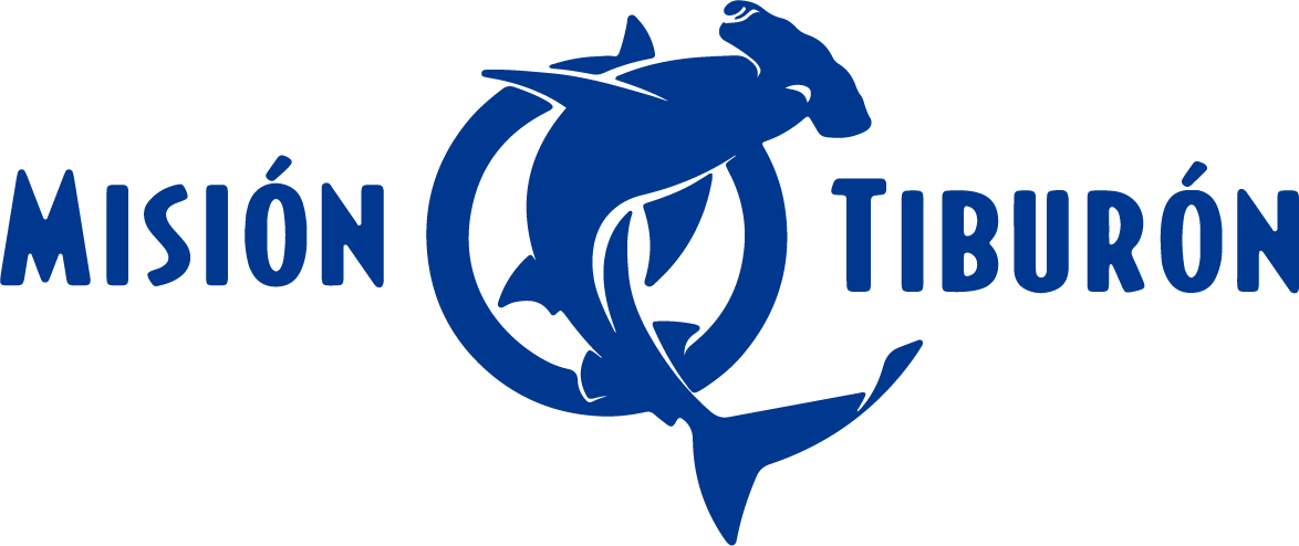 Beca Azul