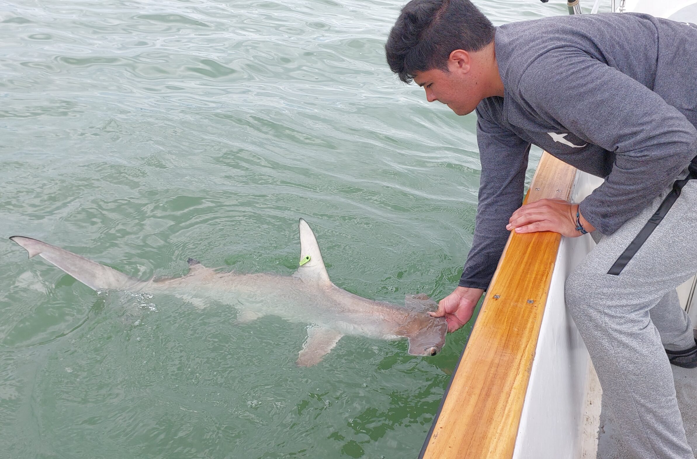Marco Andrés Rodríguez Arias