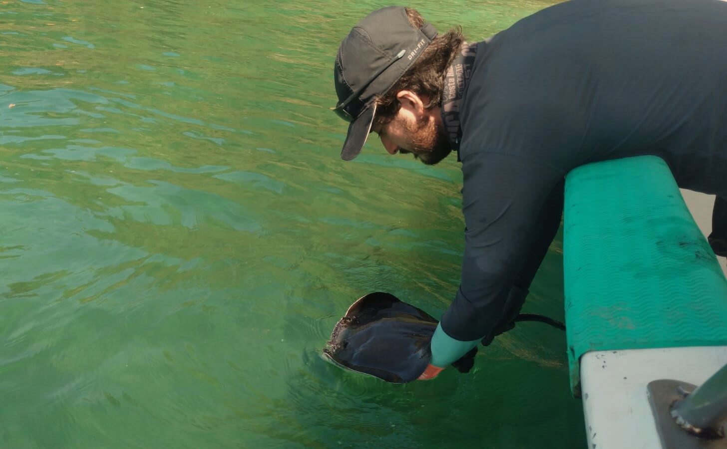 Diego Fallas Madrigal