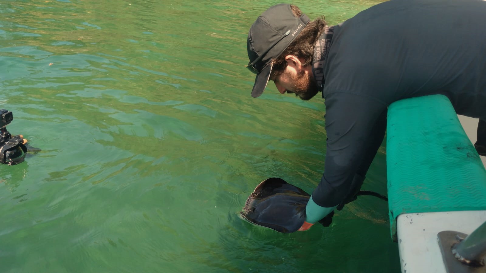 Diego Fallas Madrigal