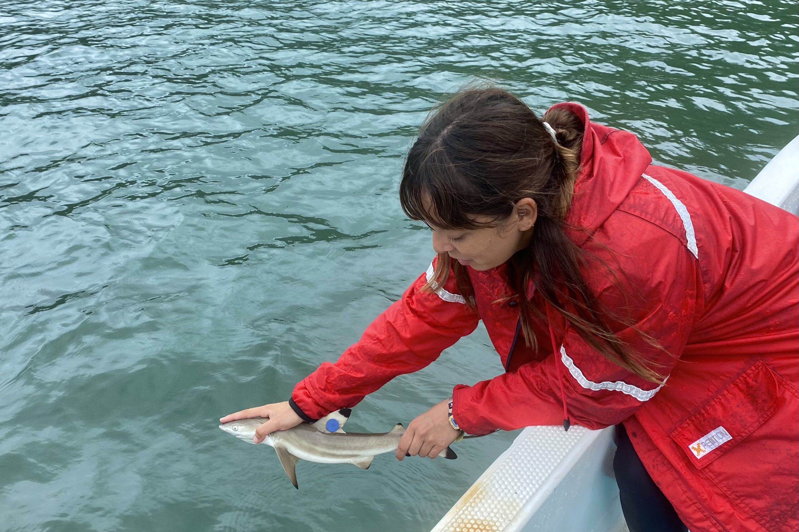 Daniela Solís Adolio